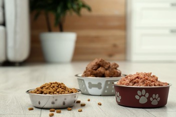Printed feed bag for pet food and animal feed manufacturers